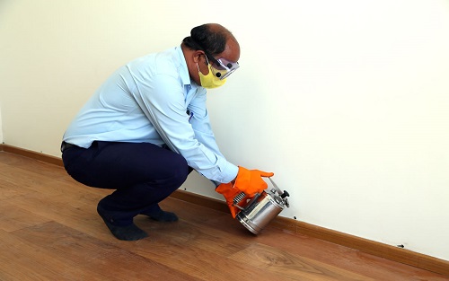 Termite Treatment In Bangalore  