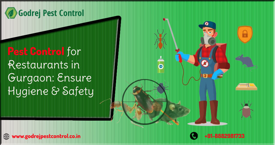 Pest Control Services Gurgaon