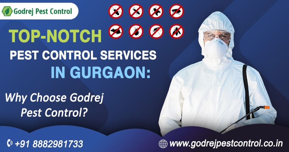 Pest Control Gurgaon