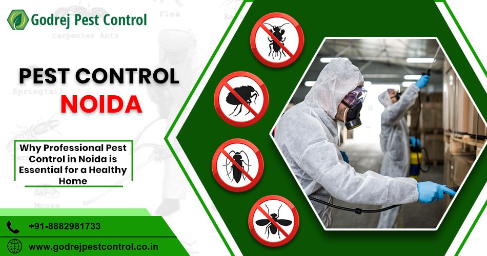 Pest Control Services Noida